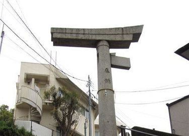 Hum, half a tori gate
